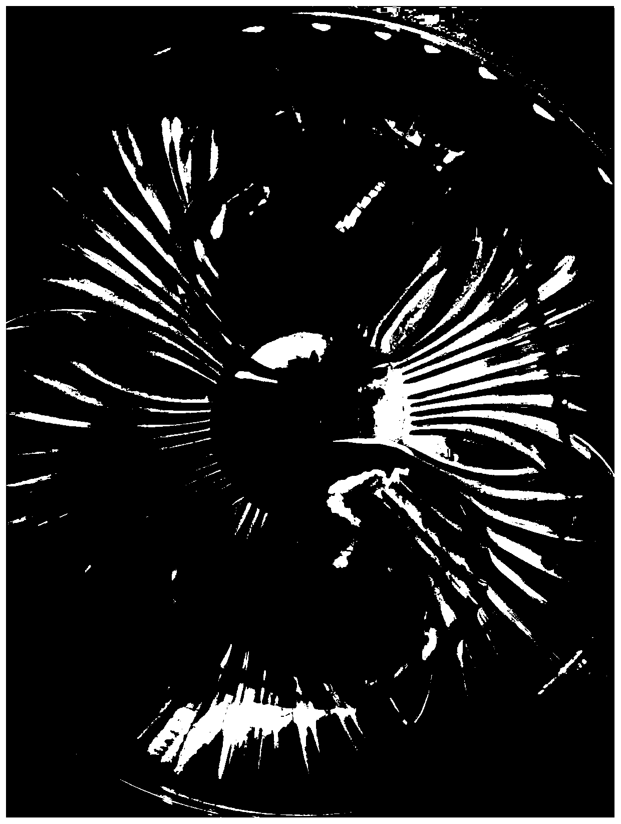 Marigold laying hen feed, and preparation method and use method thereof