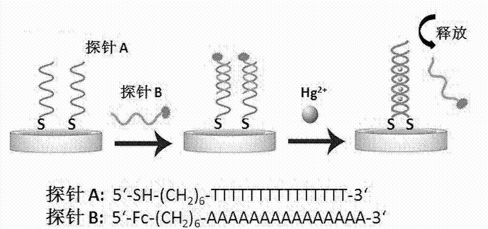 Electrochemical transducer for mercury ion detection and manufacturing method and detection method thereof