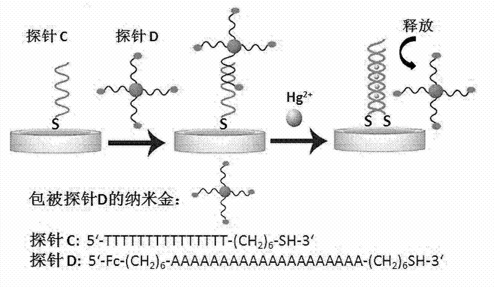 Electrochemical transducer for mercury ion detection and manufacturing method and detection method thereof