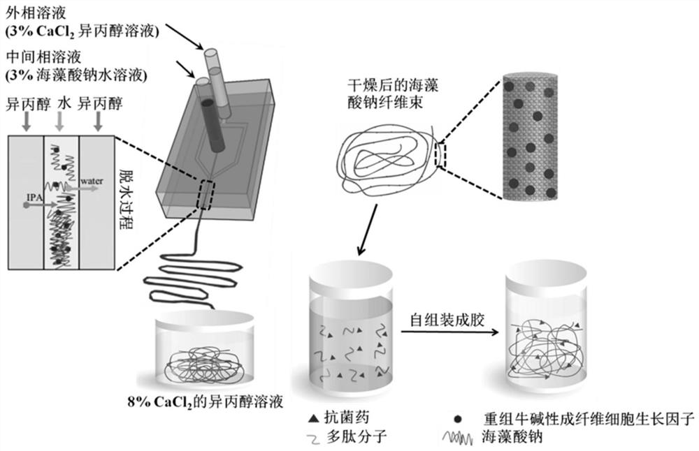 A fiber bundle/polypeptide hydrogel containing double drugs for promoting wound healing and preparation method thereof