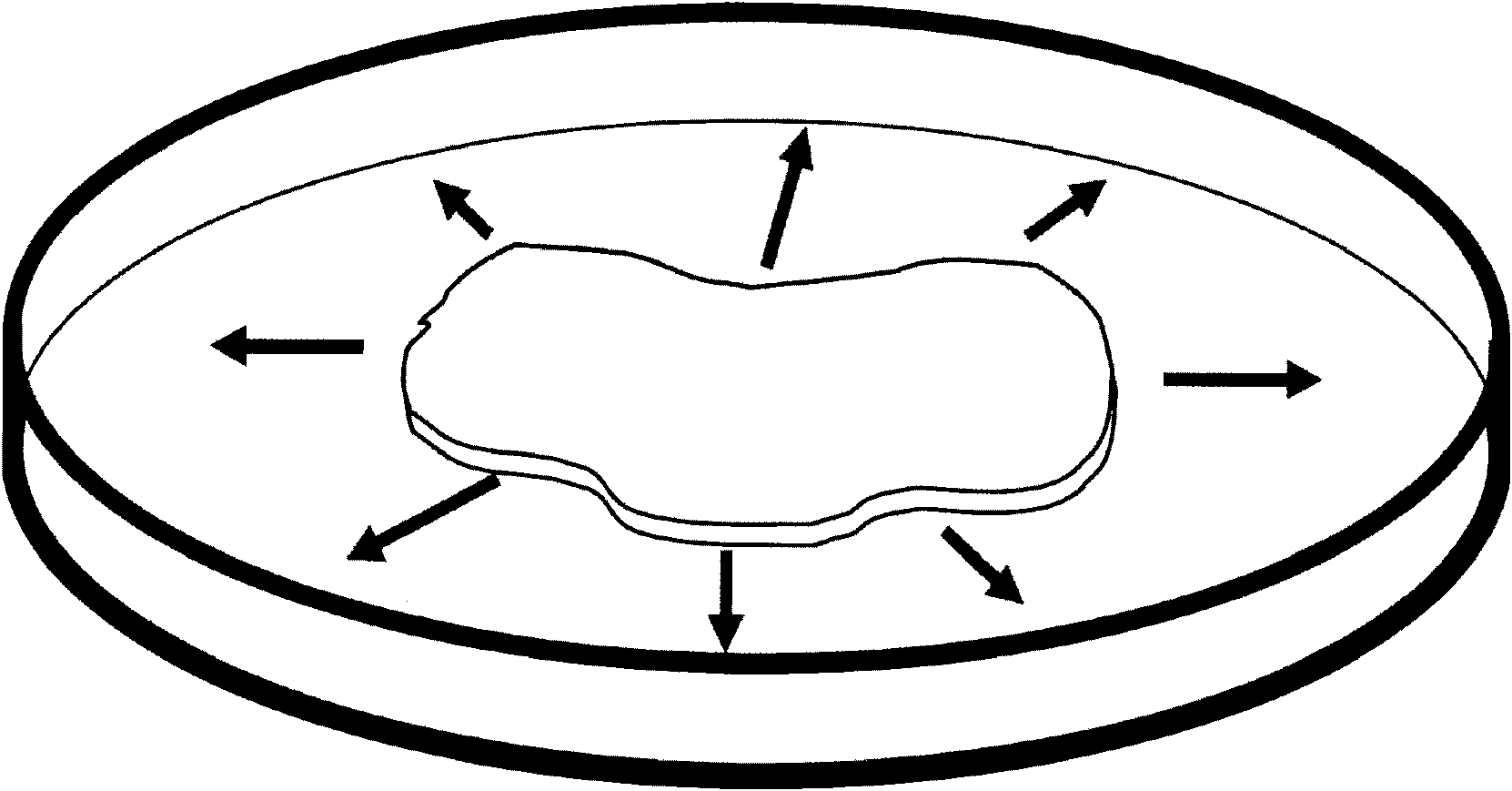 Pharmaceutical agent for promoting functional regeneration of damaged tissue