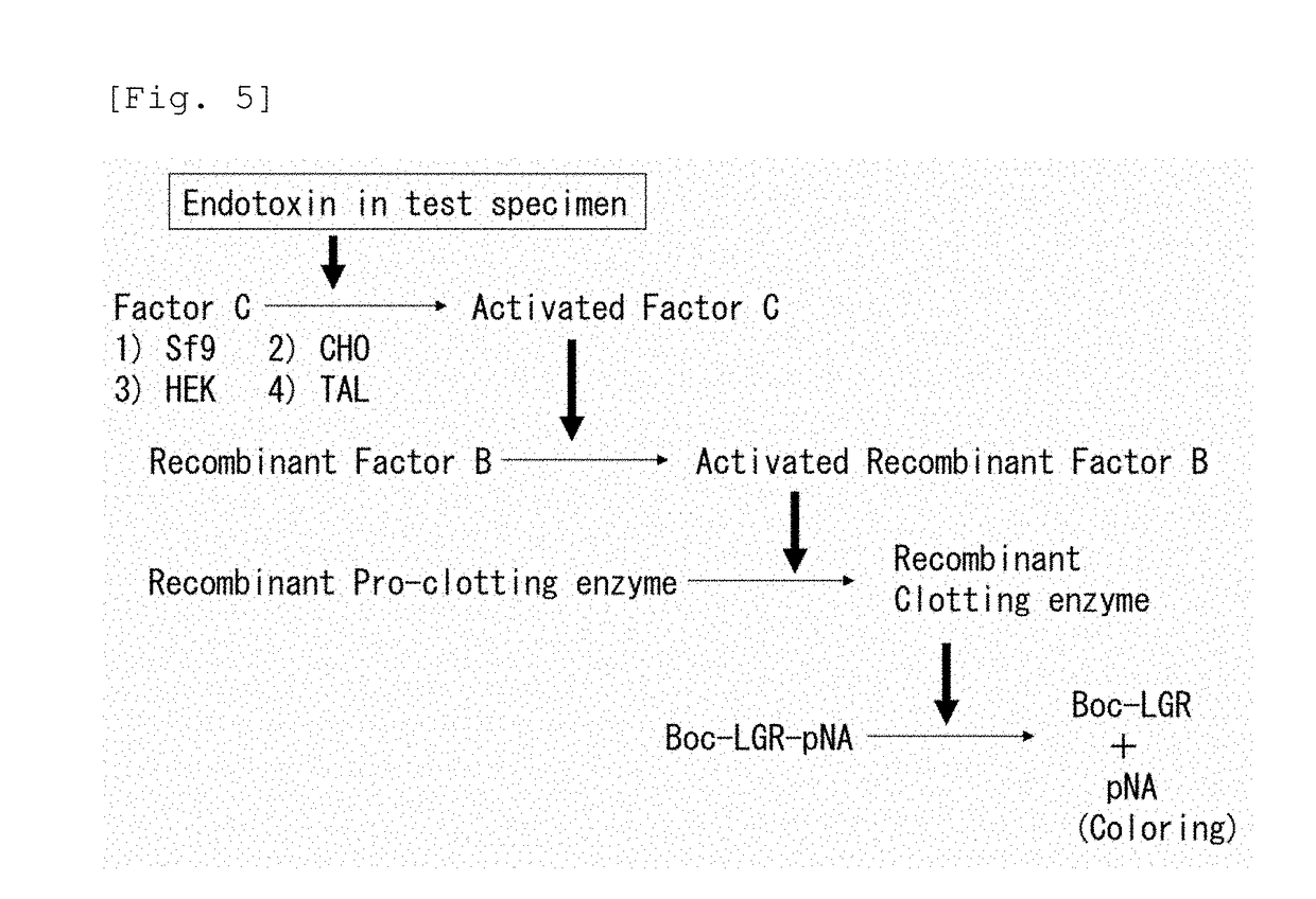 Recombinant Factor C and method for producing the same, and method for measuring endotoxin