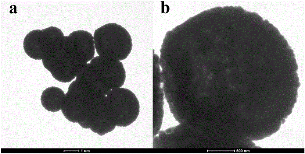 Carbon nitride/tungsten oxide composite hollow microsphere and preparation method thereof