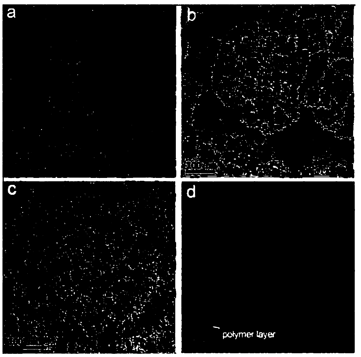 Amphiphilic polymer and preparation thereof as well as magnetic hollow nano-drug carrier and preparation method thereof