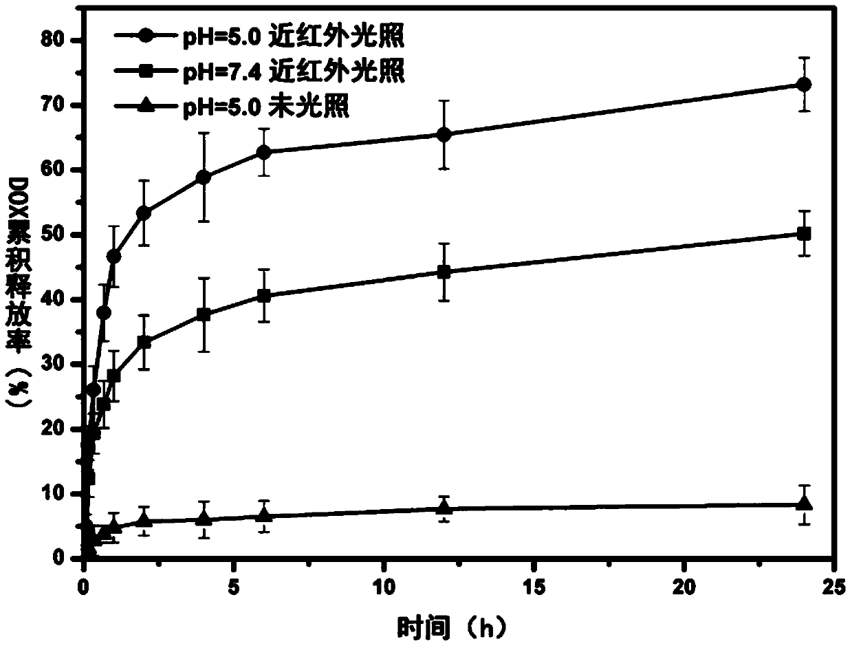 Amphiphilic polymer and preparation thereof as well as magnetic hollow nano-drug carrier and preparation method thereof