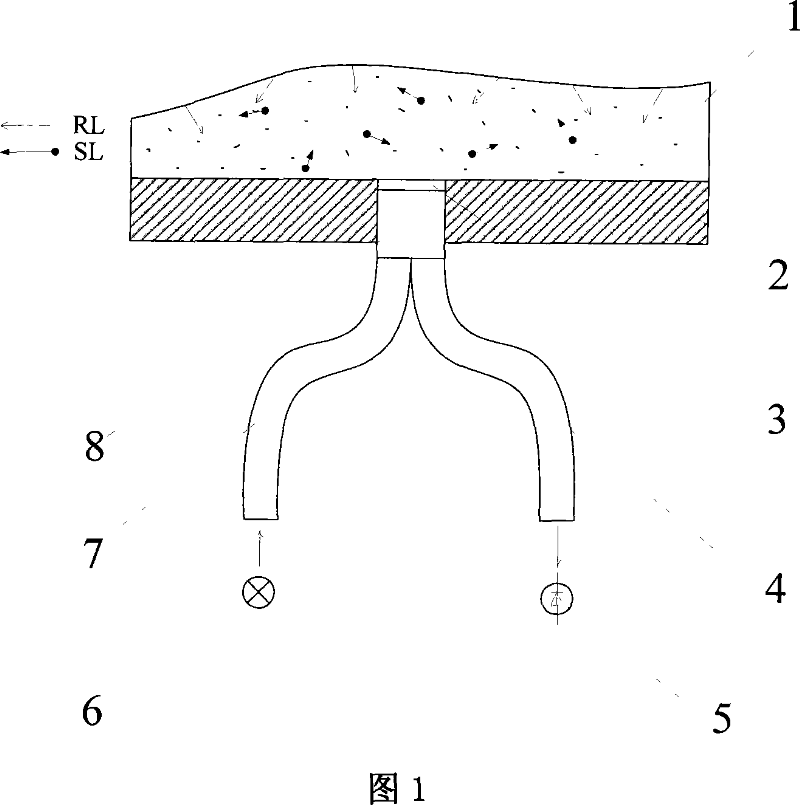 Fibre-optical freezing sensor