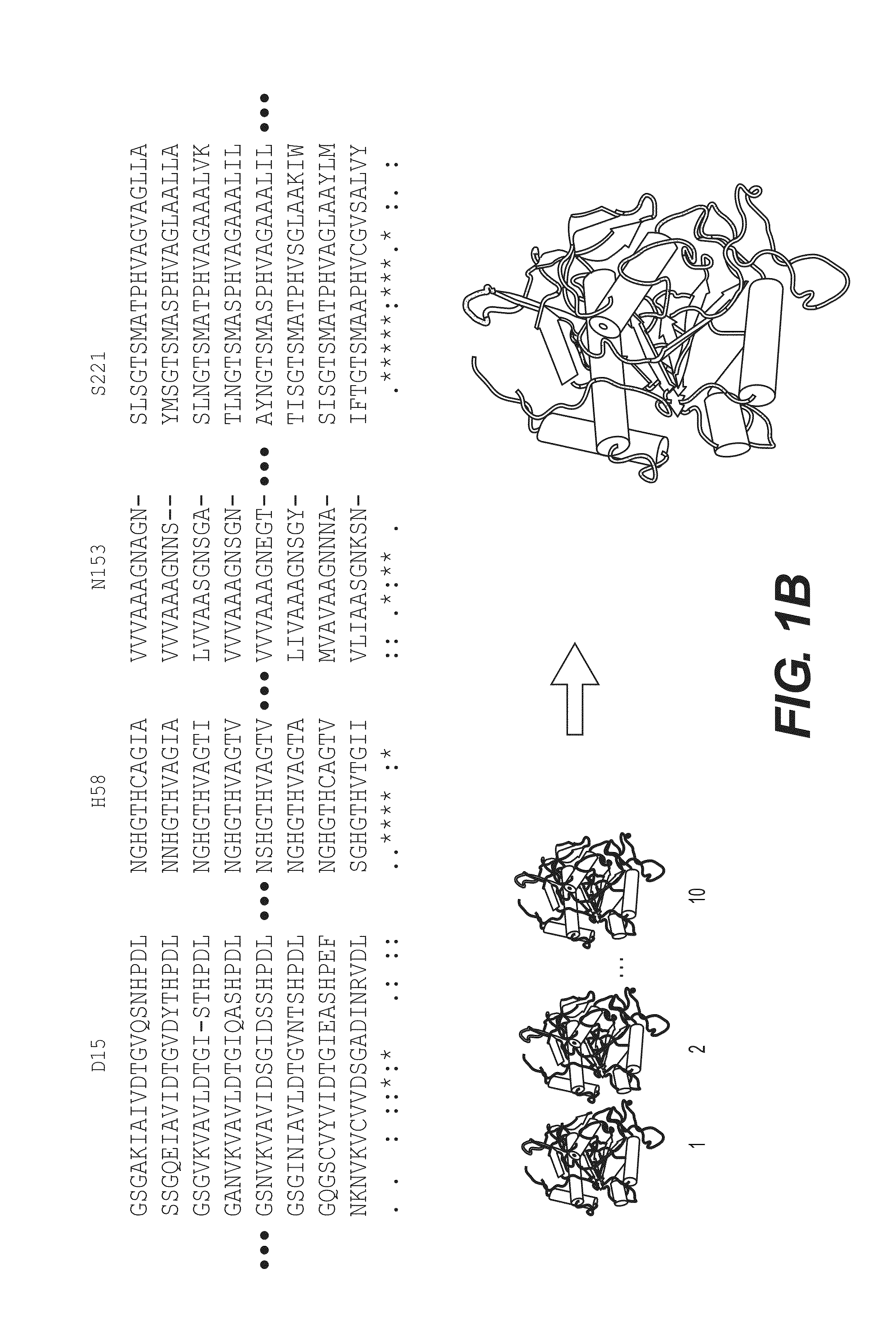 Screening methods for identifying <i>Plasmodium </i>proteases inhibitors