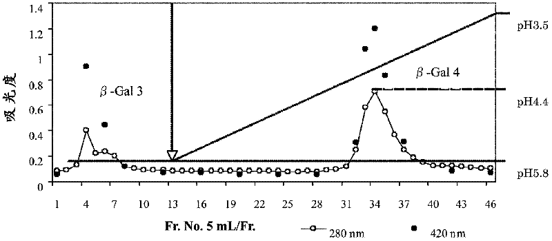 Ss-galactosidase derived from bacillus circulans