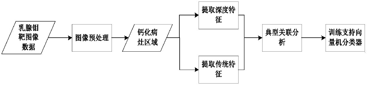 Cancer diagnosis system and method based on breast molybdenum target calcification characteristics