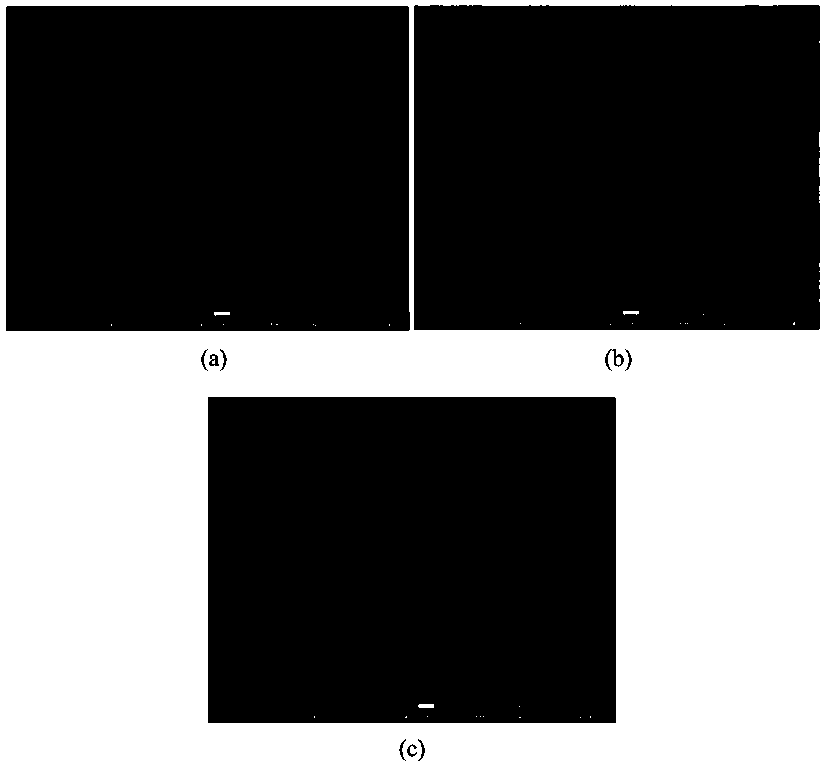 Benzyl triphenyl-phosphonium difluoromethane sulfonymide ionic liquid, synthesis method and application of ionic liquid as metal corrosion inhibitor