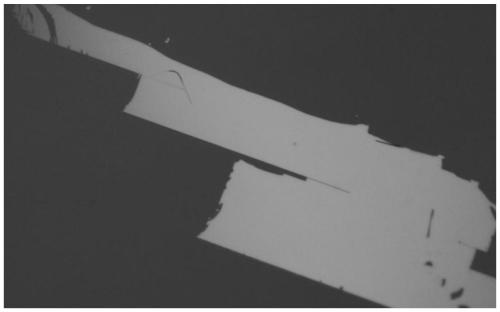 Packaging adhesive for perovskite and application method