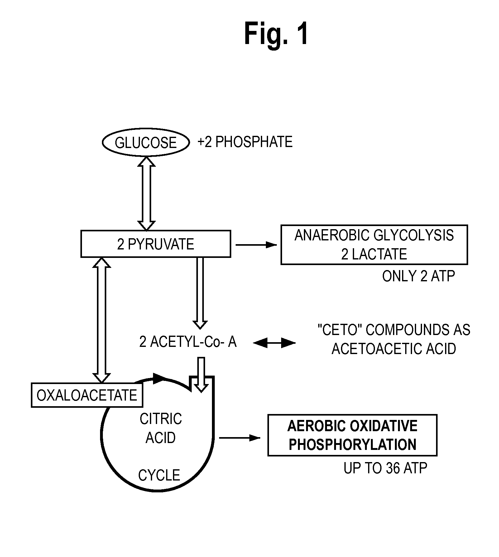 Automated methods and systems for providing platelet concentrates with reduced residual plasma volumes and storage media for such platelet concentrates