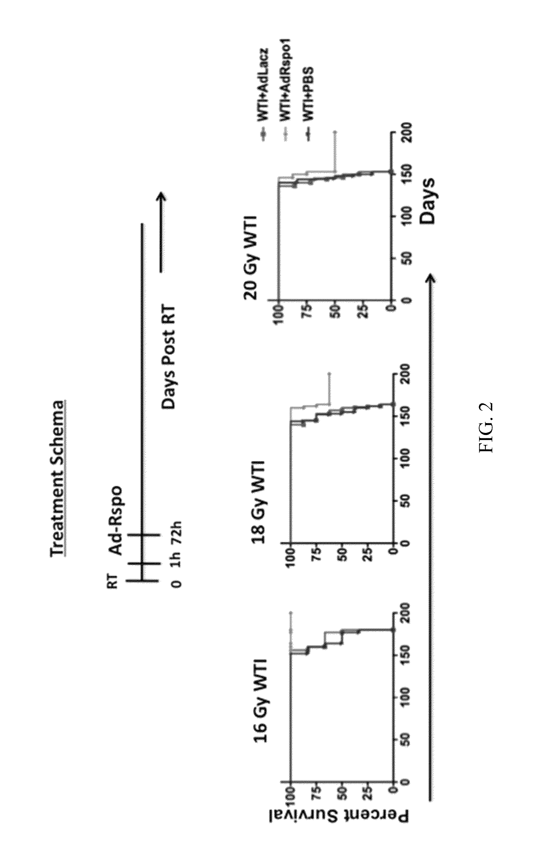 Therapy for radiation-induced lung injury