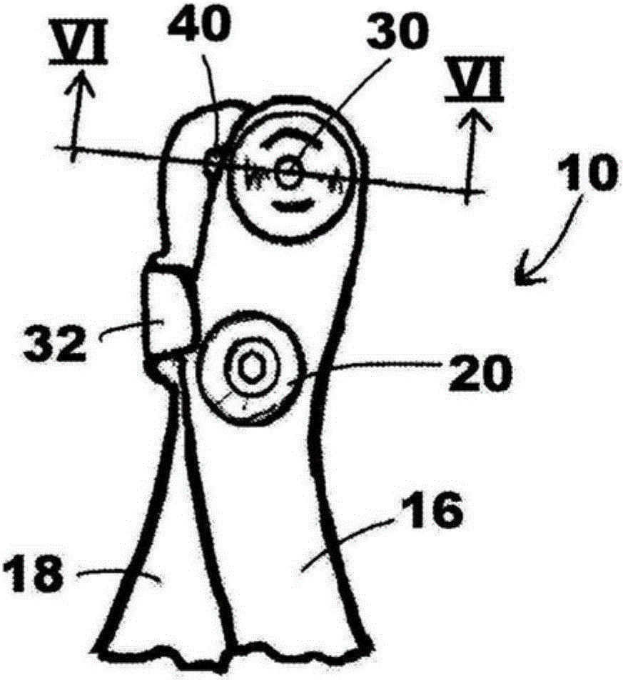 Animal claw shearing apparatuses and methods of using the same