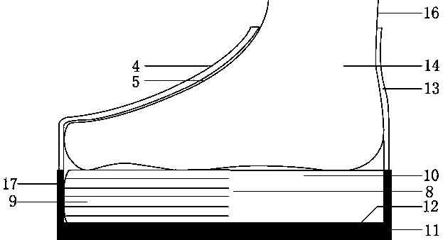 Shoe pads and method for assorting shoe pads with shoes