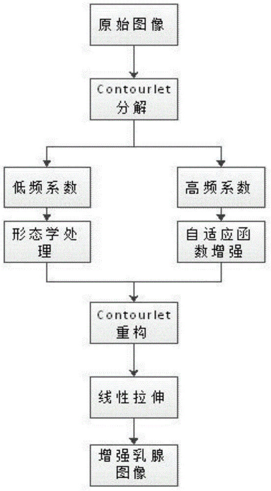 Adaptive enhancement method based on mammographic image