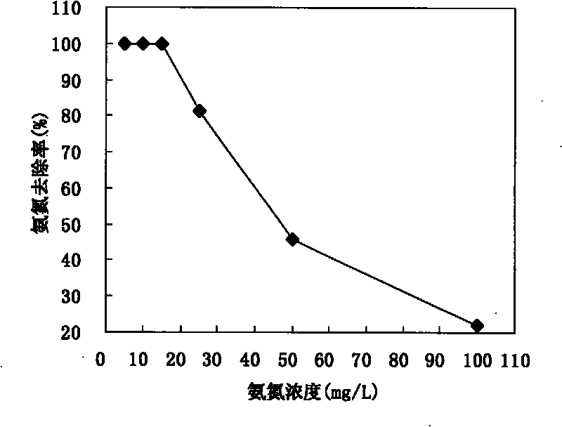 Method for preparing ammonia nitrogen sorbent by utilizing abandoned strawberry leaves and application of sorbent