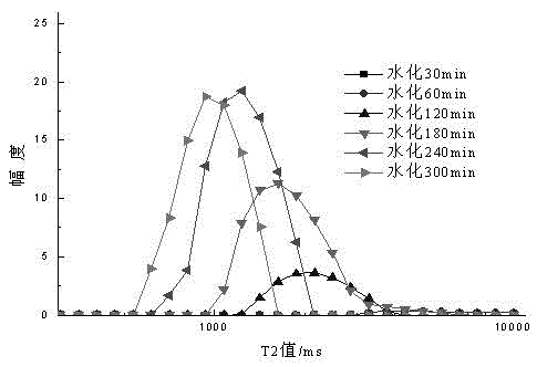 Method for measuring bleeding property of cement paste employing hydrogen proton low-field nuclear magnetic resonance technique