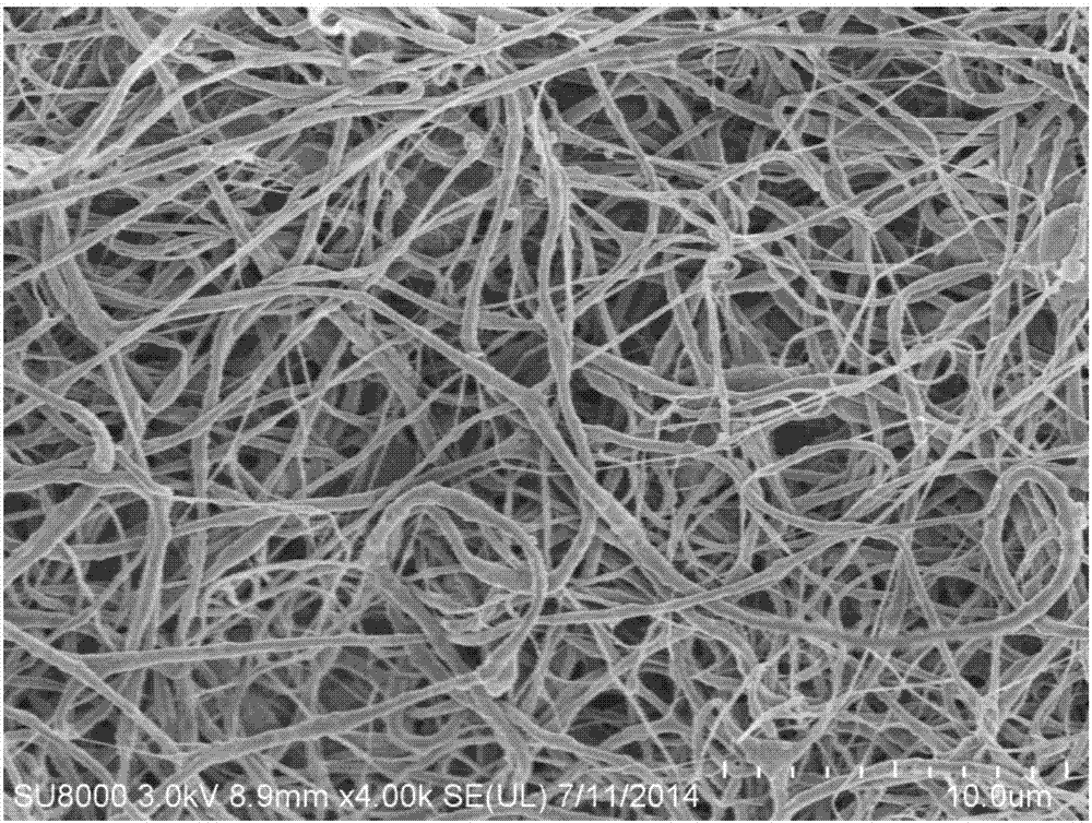 Stress activity fiber film and preparation method thereof