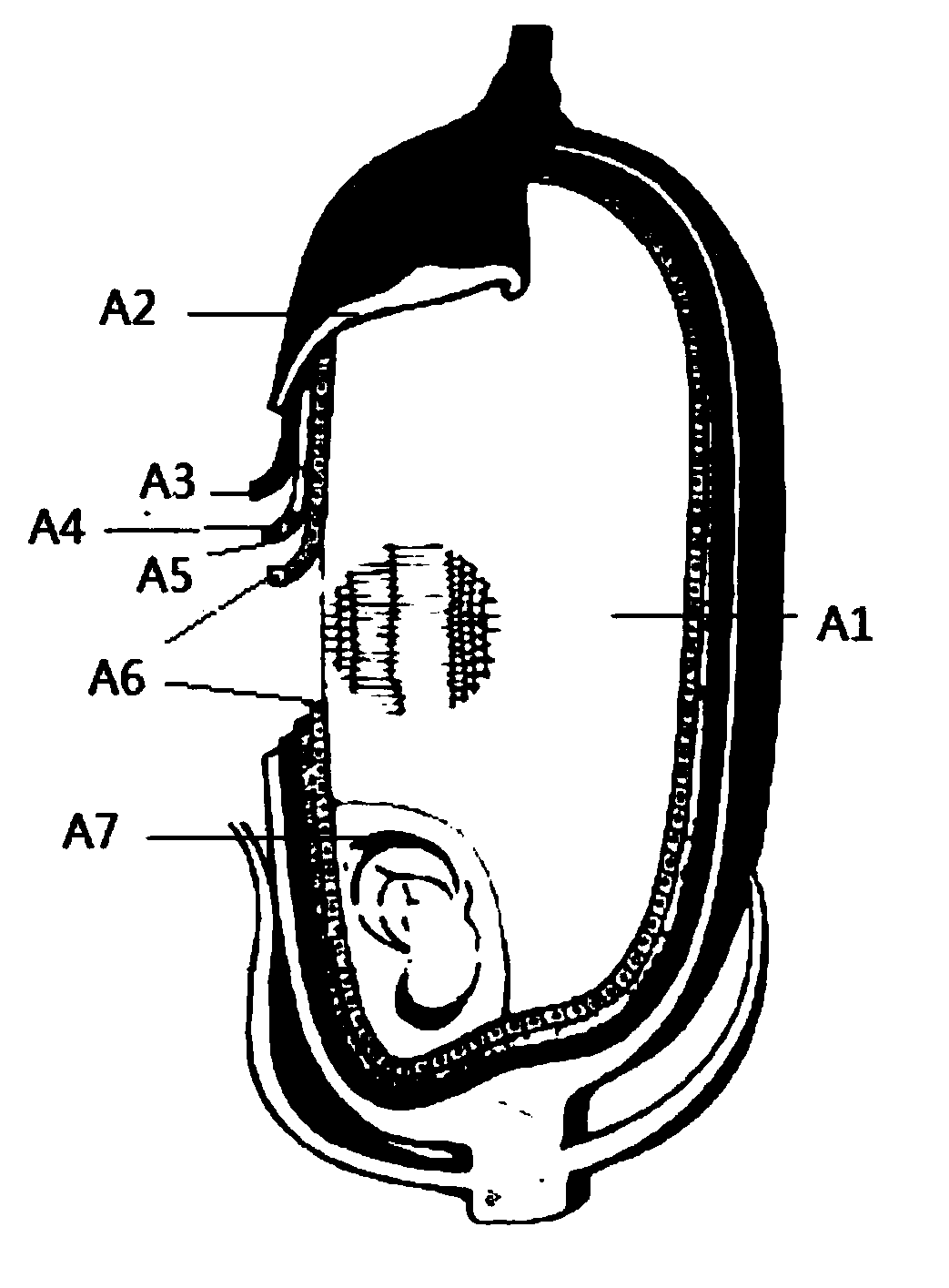 Milled rice with whole embryos and processing method and application of milled rice