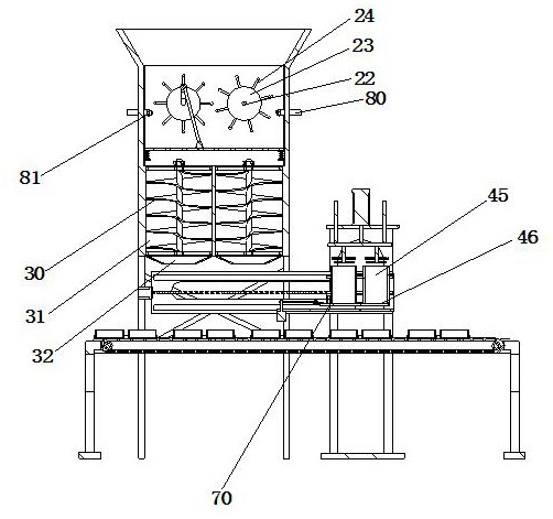 Compaction and packaging equipment for freeze-dried rice