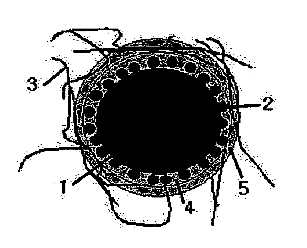 Anode active material, method of preparing the same, and anode and lithium battery containing the material