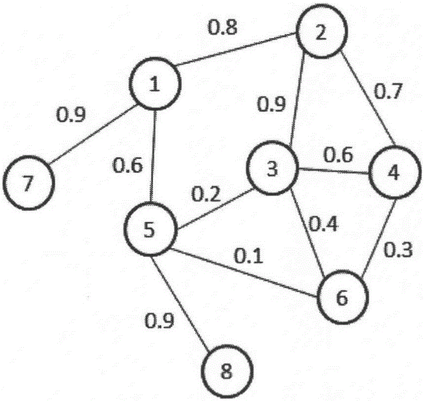 Protein composite identification method based on random walking model