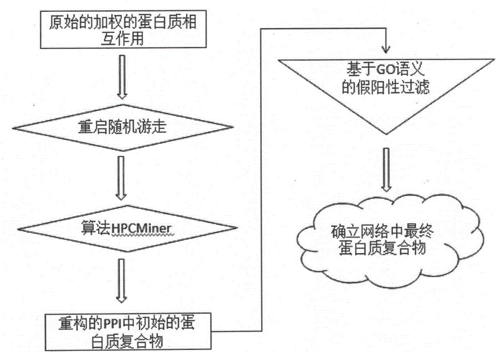 Protein composite identification method based on random walking model