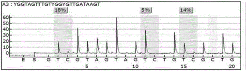 Primers for detecting methylation degree of BDNF gene promoter region and application of primers