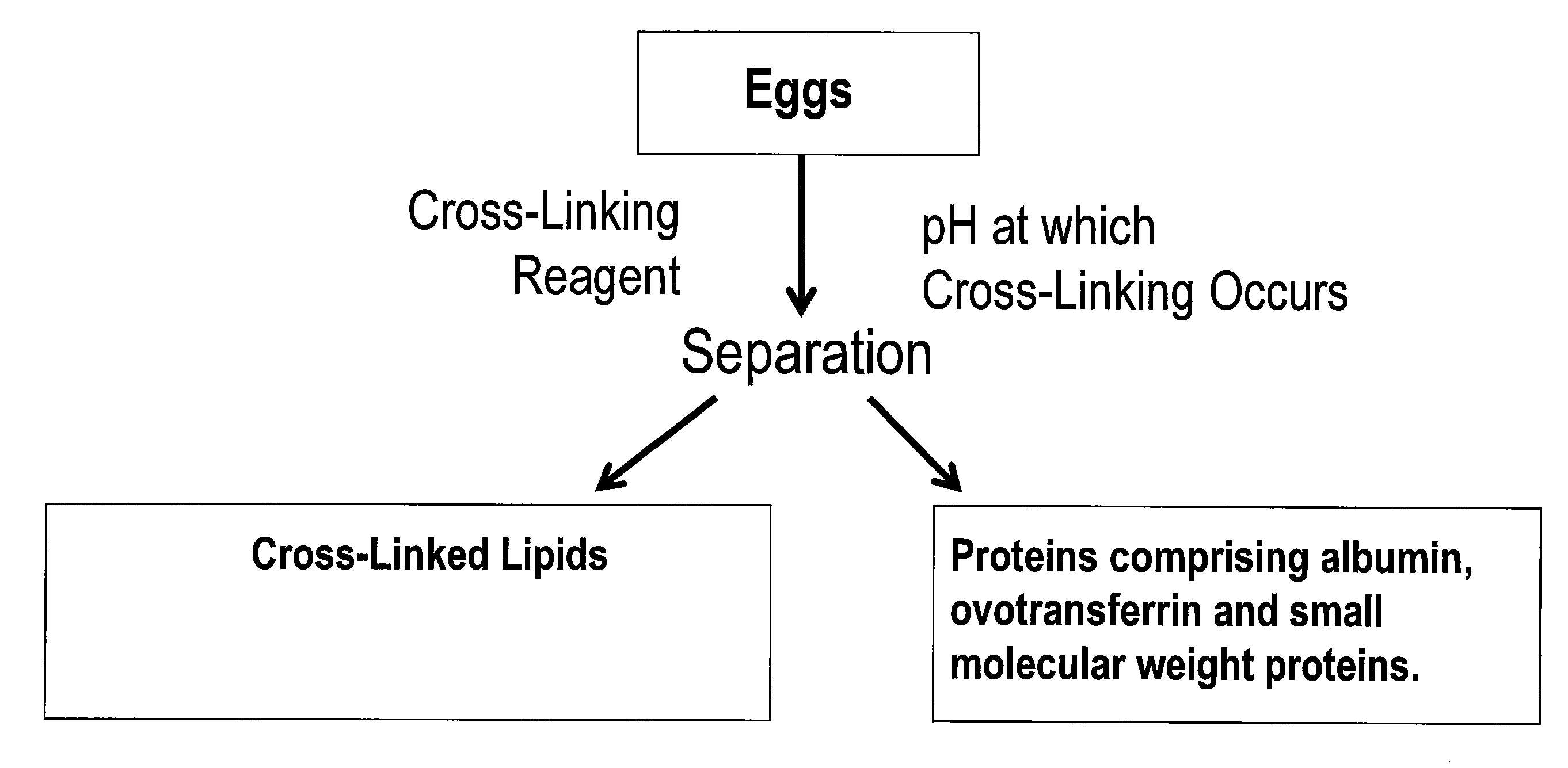 Method of separating components of technical eggs, edible eggs, yolk and whites and products therefrom