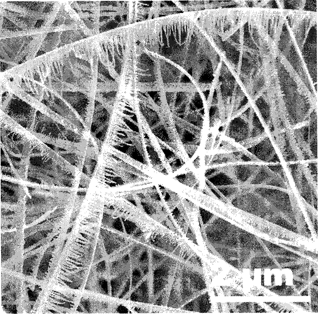 Aluminum nitride single-edge nano-comb and method for preparing the same