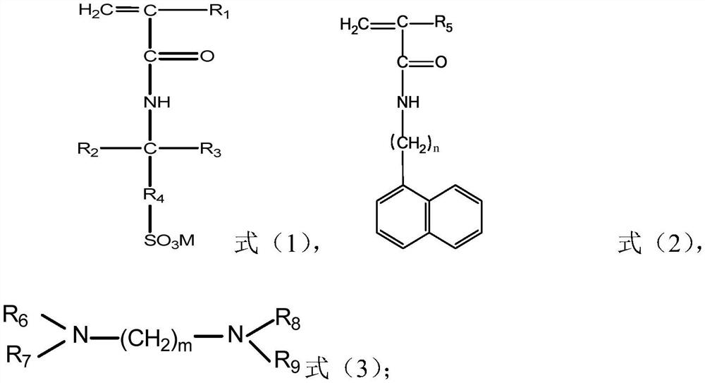 Acrylamide copolymer and its preparation method and application