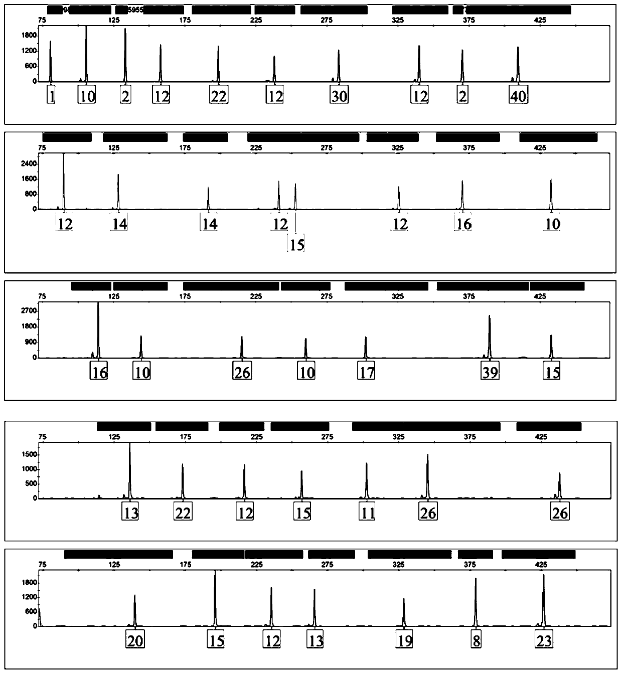 Y-STR gene locus and Y-indel gene locus based compound amplification system and primer combinations used by the same