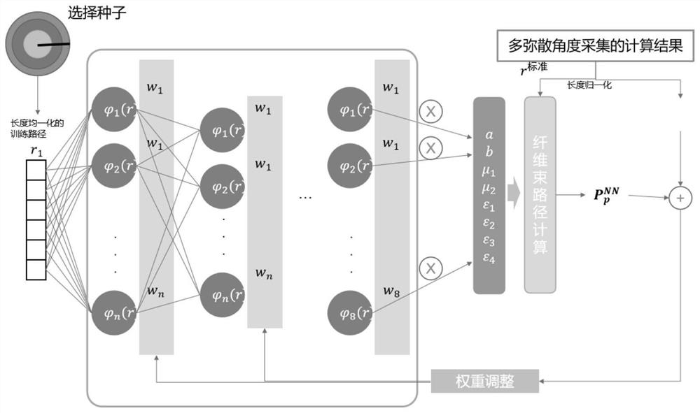 White matter fiber bundle tracking method