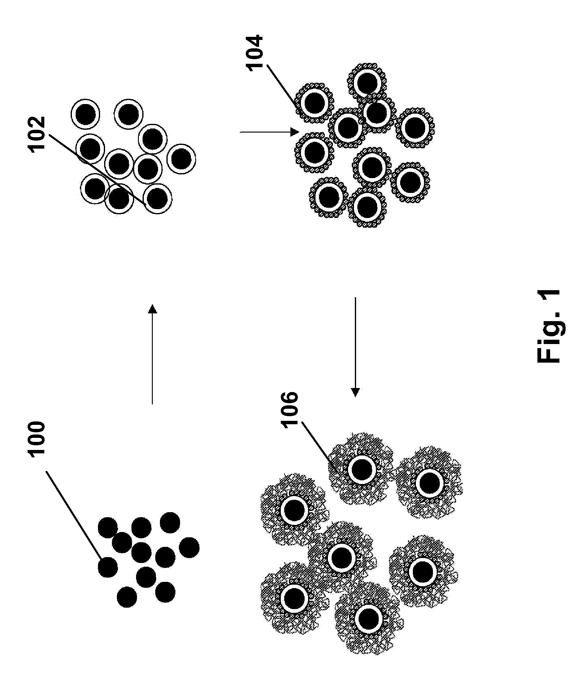 Electrophoretic particles, and processes for the production thereof