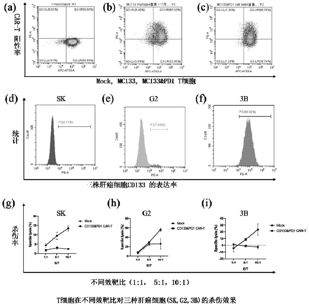 Preparation method of CAR-T cell with CD133 specificity, based on non-viral vector and capable of automatically secreting PD1 scFv