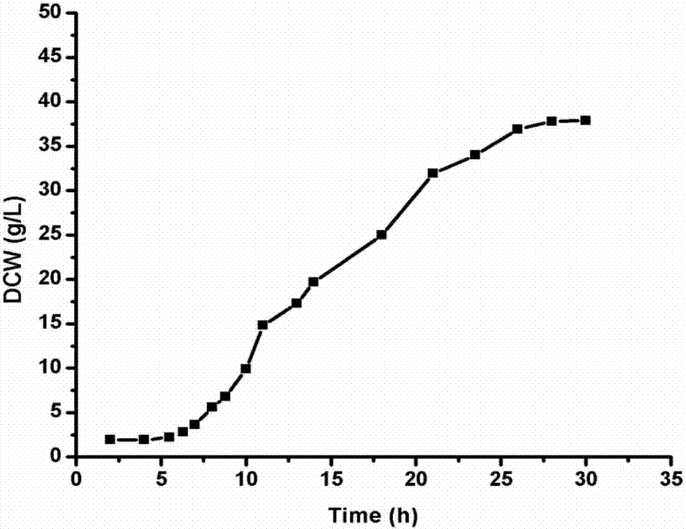 Method for preparing R-o-chloromandelic acid by using nitrilase engineering bacteria