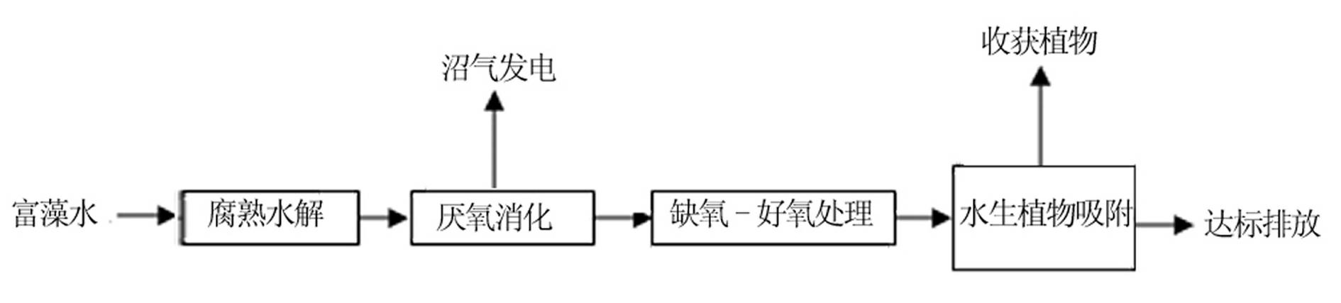 Method for processing algae-enriching water and application system thereof