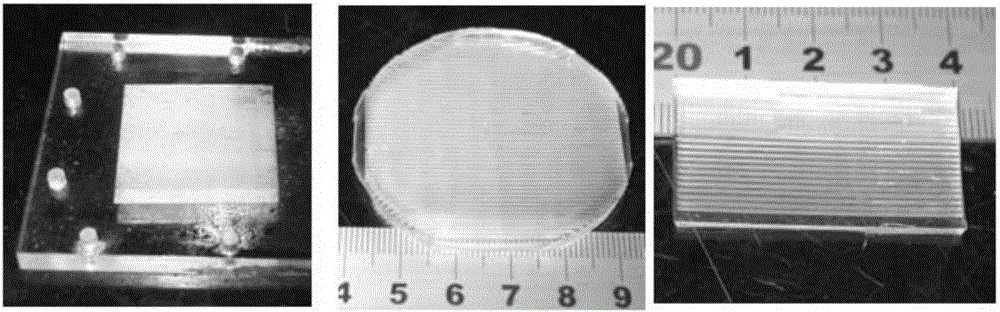 Myocardial patch and preparation method thereof