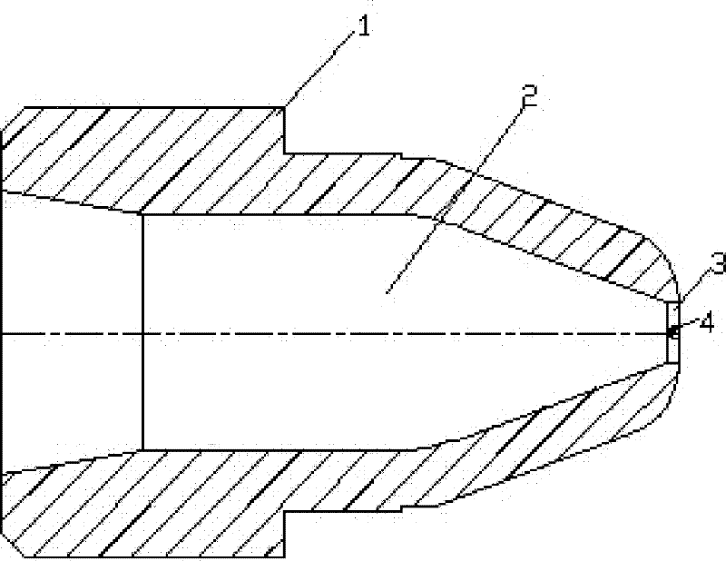 Hot nozzle core structure special for black material