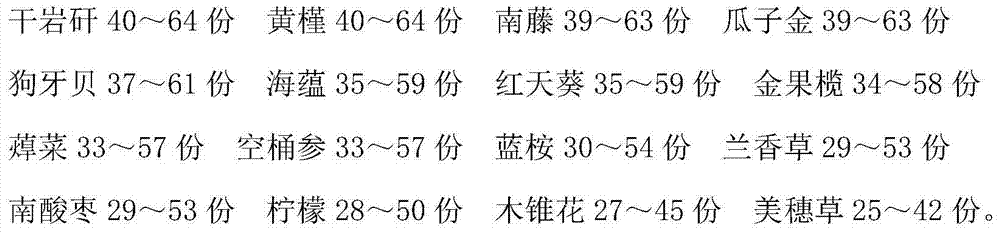 Medicine for treating bronchitis and preparation method of medicine