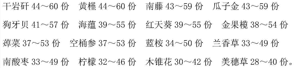 Medicine for treating bronchitis and preparation method of medicine