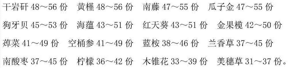 Medicine for treating bronchitis and preparation method of medicine