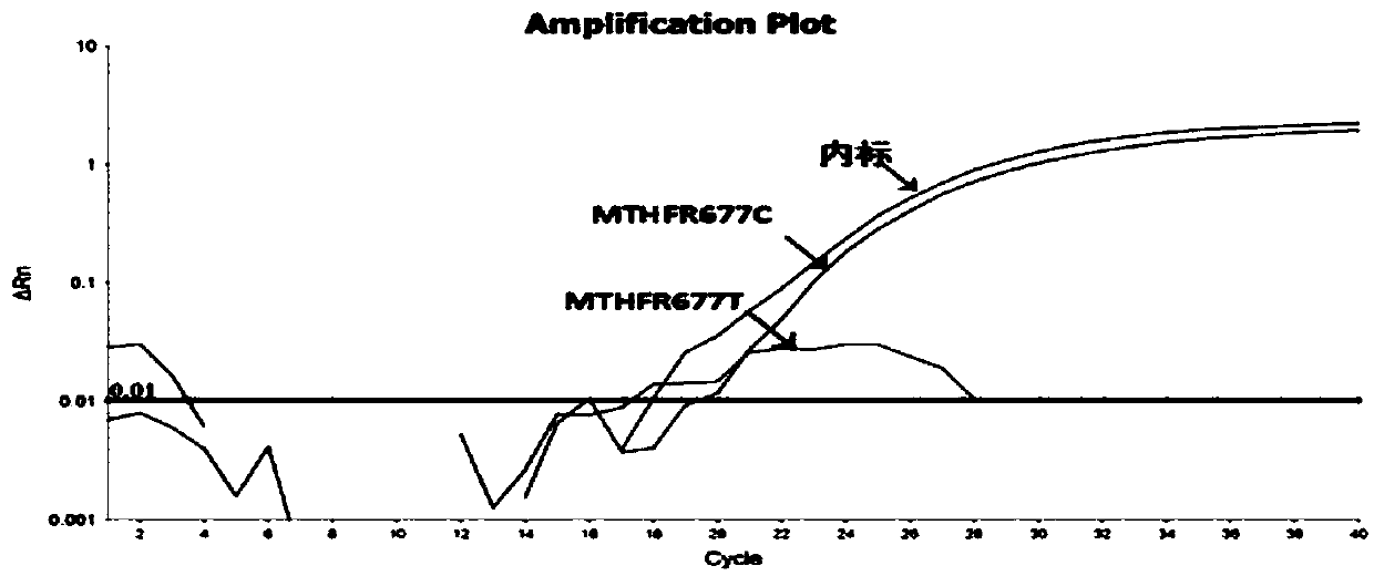 A kind of human mthfr and mtrr gene polymorphism detection primer, probe, kit and method