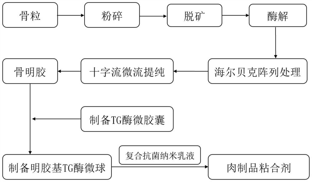 Efficient heat-resistant antibacterial gelatin-based TG enzyme meat product adhesive as well as preparation method and application thereof