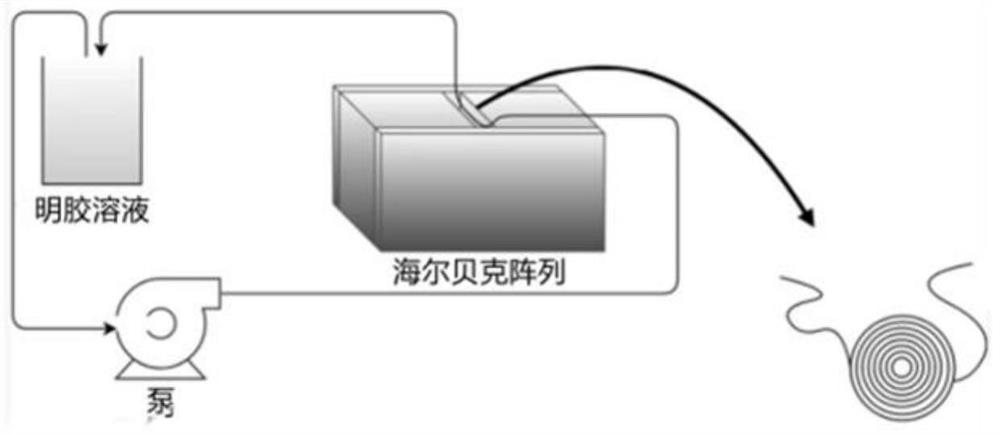 Efficient heat-resistant antibacterial gelatin-based TG enzyme meat product adhesive as well as preparation method and application thereof