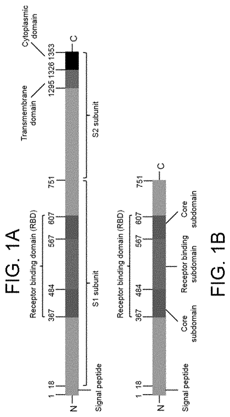 Composition and method for treating MERS