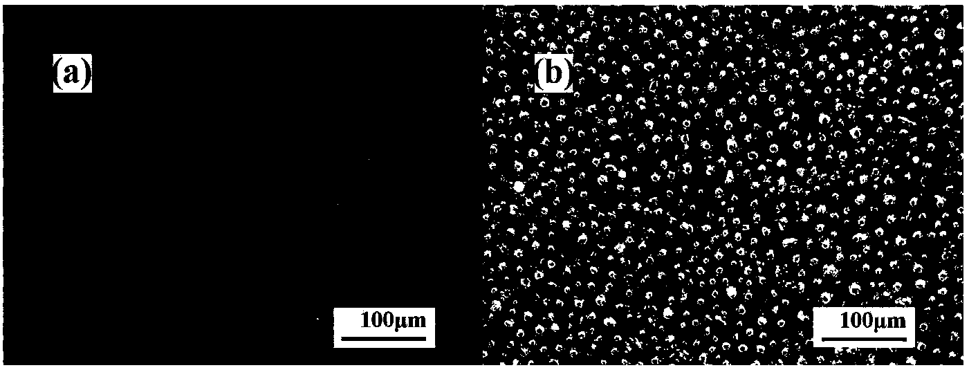 Method for preparing porous alumina ceramic material through combination of 3D printing and reactive sintering