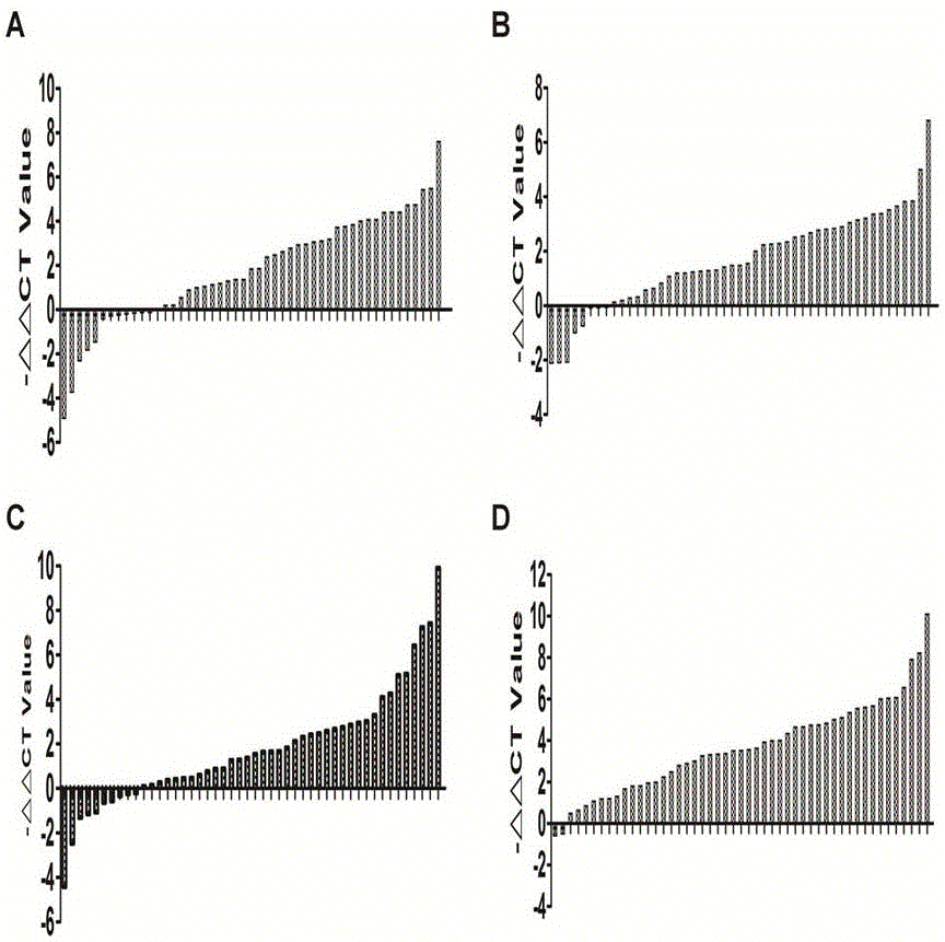 Gastric cancer RNA molecular marker and application thereof