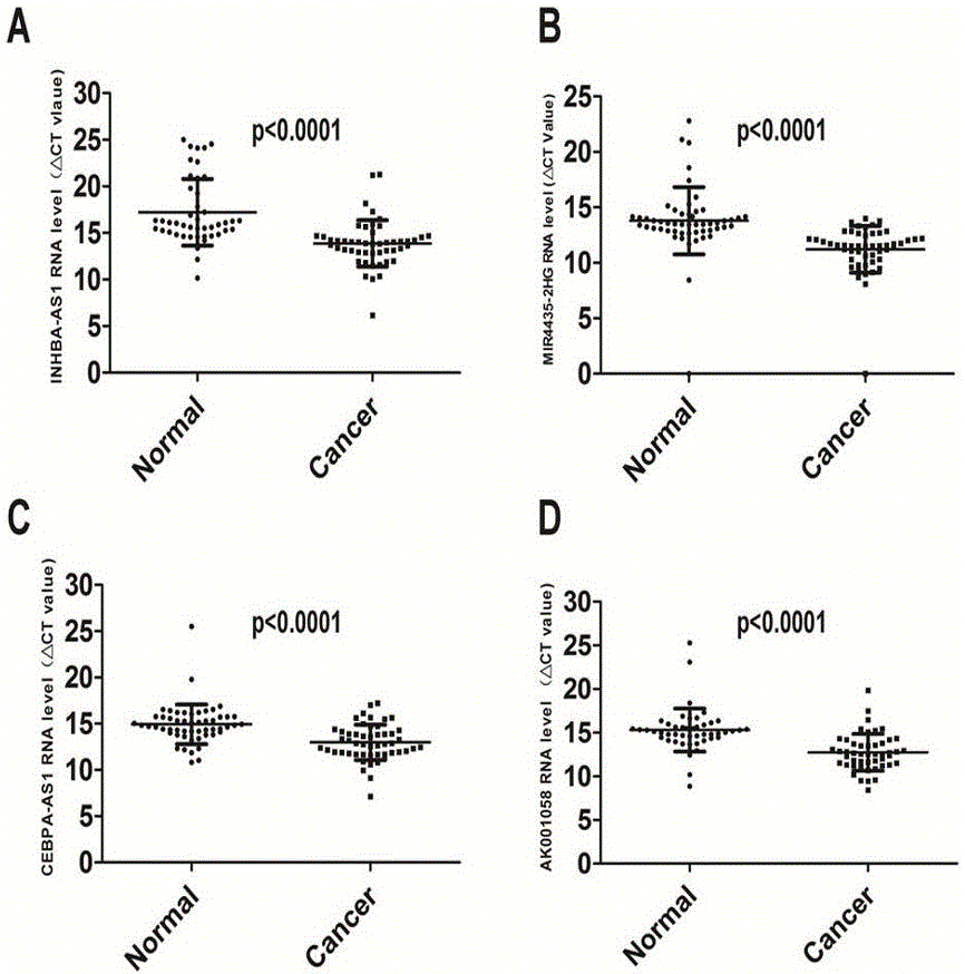 Gastric cancer RNA molecular marker and application thereof